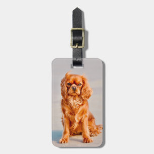 Ruby Cavalier King Charles Spaniel Dog Bagagelabel