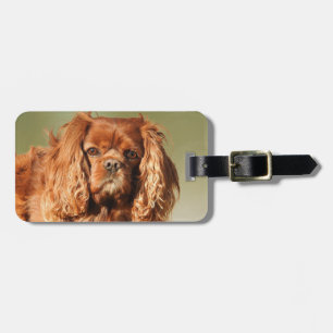 Ruby Cavalier King Charles Spaniel Dog Bagagelabel