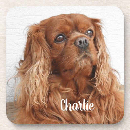 Ruby Cavalier King Charles Spaniel Dog Bier Onderzetter (Voorkant)