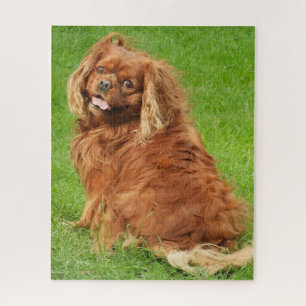 Ruby Cavalier King Charles Spaniel Dog Jigzaag Puz Legpuzzel