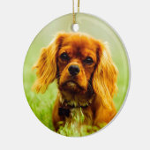 Ruby Cavalier King Charles Spaniel Dog Keramisch Ornament (Links)