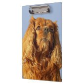 Ruby Cavalier King Charles Spaniel Dog klembord (Links)