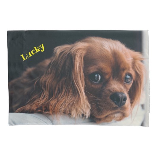 Ruby Cavalier King Charles Spaniel Dog Kussensloop (Voorkant)