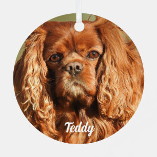Ruby Cavalier King Charles Spaniel Dog Metalen Ornament