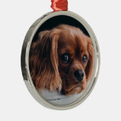 Ruby Cavalier King Charles Spaniel Dog Metalen Ornament (Rechts)