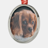 Ruby Cavalier King Charles Spaniel Dog Metalen Ornament (Links)