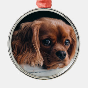 Ruby Cavalier King Charles Spaniel Dog Metalen Ornament