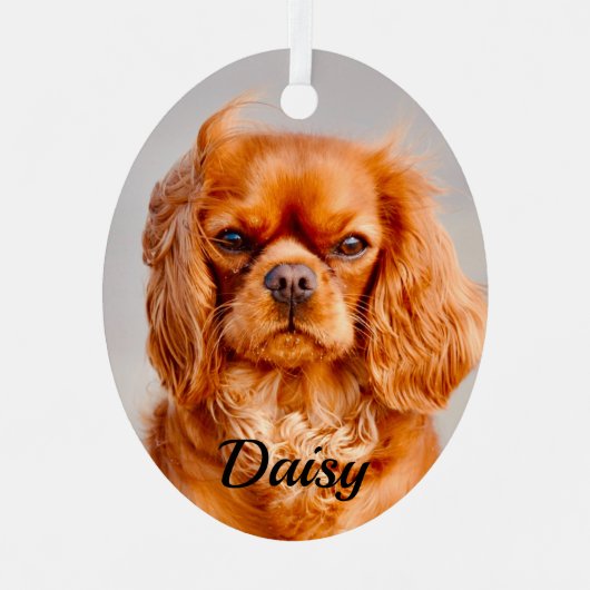 Ruby Cavalier King Charles Spaniel Dog Metalen Ornament (Voorkant)