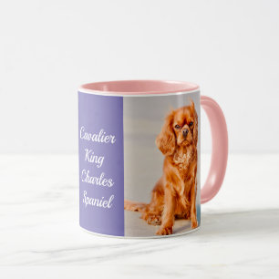 Ruby Cavalier King Charles Spaniel Dog Mok