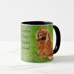 Ruby Cavalier King Charles Spaniel Dog Mok