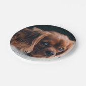 Ruby Cavalier King Charles Spaniel Dog Papieren Bordje (Gekanteld)