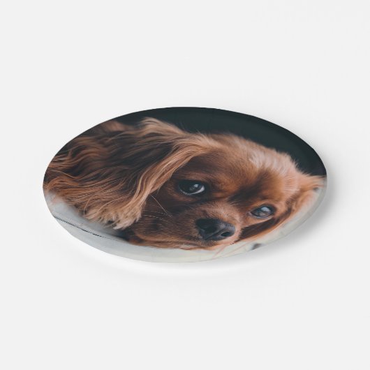 Ruby Cavalier King Charles Spaniel Dog Papieren Bordje (Gekanteld)