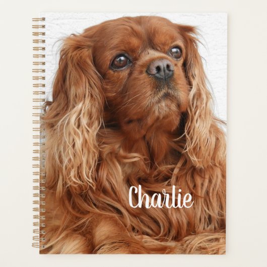 Ruby Cavalier King Charles Spaniel Dog Planner (Voorkant)