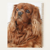 Ruby Cavalier King Charles Spaniel Dog Planner (Achterkant)