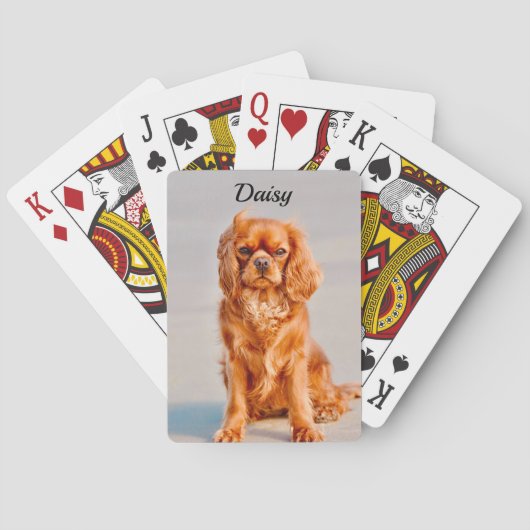 Ruby Cavalier King Charles Spaniel Dog Pokerkaarten (Achterkant)