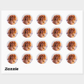 Ruby Cavalier King Charles Spaniel Dog Ronde Sticker (Vel)
