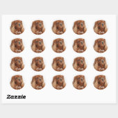 Ruby Cavalier King Charles Spaniel Dog Ronde Sticker (Vel)