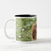 Ruby Cavalier King Charles Spaniel in het gras Tweekleurige Koffiemok (Links)