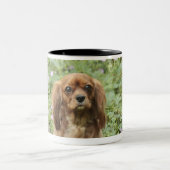 Ruby Cavalier King Charles Spaniel in het gras Tweekleurige Koffiemok (Center)