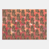 Ruby Cavalier King Charles Spaniel   Inpakpapier Vel (Voorkant 2)