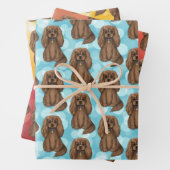 Ruby Cavalier King Charles Spaniel   Inpakpapier Vel (In situ)