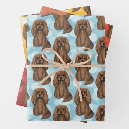 Ruby Cavalier King Charles Spaniel   Inpakpapier Vel (In situ)