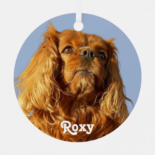 Ruby Cavalier King Charles Spaniel Puppy Dog Blue Metalen Ornament (Voorkant)