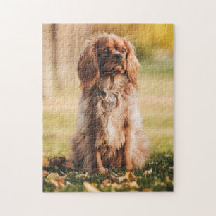Ruby Cavalier King Charles Spaniel Puppy Dog Legpuzzel