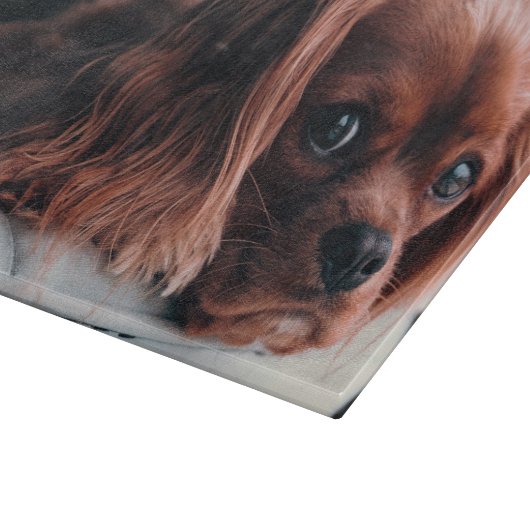 Ruby Cavalier King Charles Spaniel Puppy Dog Snijplank (Hoek)