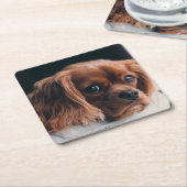 Ruby Cavalier King Charles Spaniel Vierkante Kartonnen Onderzetter (Schuin)