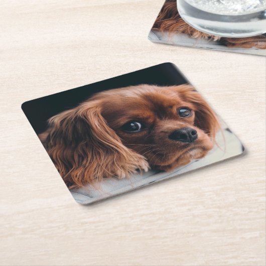 Ruby Cavalier King Charles Spaniel Vierkante Kartonnen Onderzetter (Schuin)
