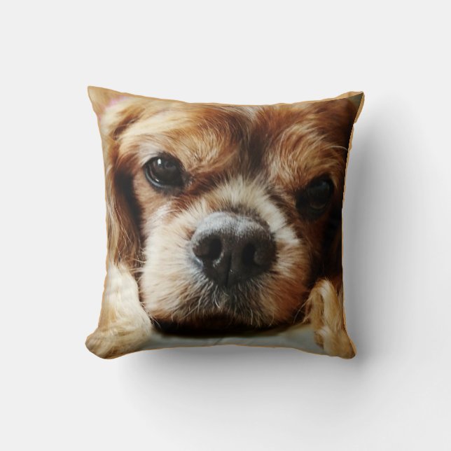 Ruby Cavalier Pillow 16x16 Kussen (Voorkant)