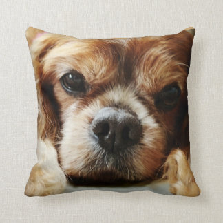 Ruby Cavalier Pillow 16x16 Kussen