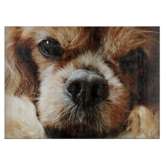 Ruby Cavalier Snijplank (Voorkant)