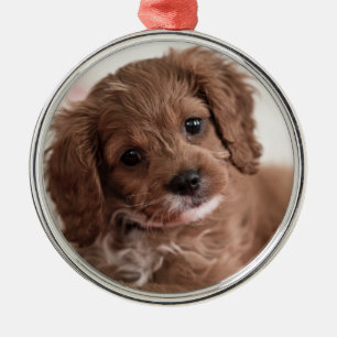 Ruby Cavapoo Puppy Dog Metalen Ornament