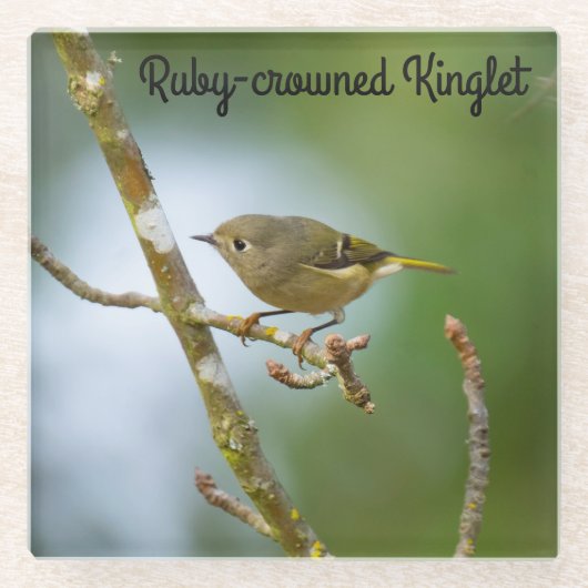 Ruby crowding kinglet glazen onderzetter (Voorkant)