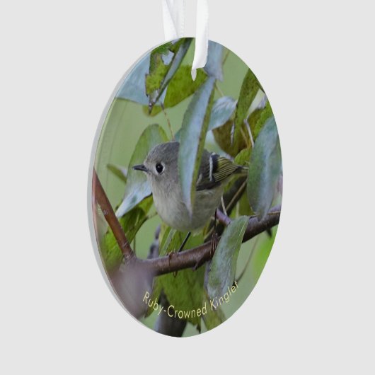 Ruby-crowned Kinglet Bird Ornament with Place Year (devant)