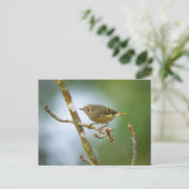 Ruby Crowned Kinglet Briefkaart (Staand voorkant)