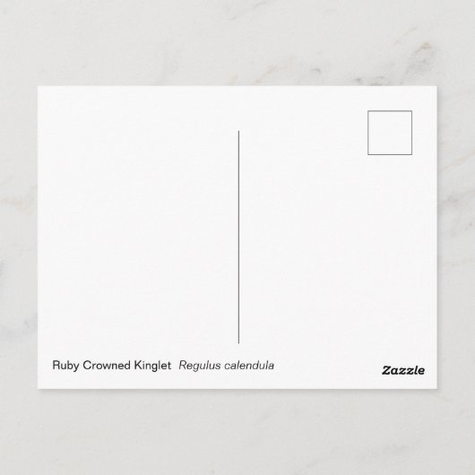 Ruby Crowned Kinglet Briefkaart (Achterkant)