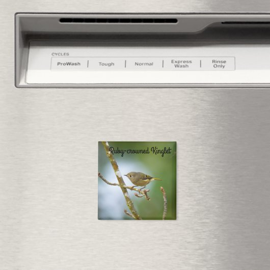 Ruby Crowned Kinglet Magneet (Insitu (Vaatwasser))