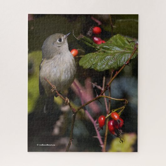 Ruby-Crowned Kinglet Songbird op Hawthorn Struik Legpuzzel (Verticaal)