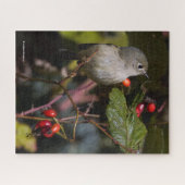 Ruby-Crowned Kinglet Songbird op Hawthorn Struik Legpuzzel (Horizontaal)