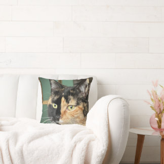 Ruby de zesjarige Tortie en Wit Kussen