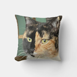 Ruby de zesjarige Tortie en Wit Kussen