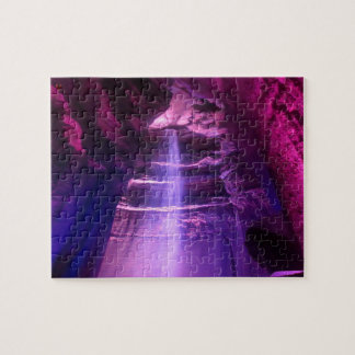 Ruby Falls Tennessee Legpuzzel