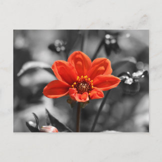 Ruby Flower Briefkaart