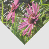 Ruby Giant Echinacea in de tuinen Tissuepapier (Detail)