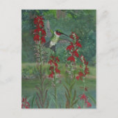 Ruby-keel en kardinaalventilator briefkaart (Voorkant)