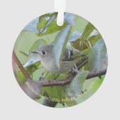 Ruby-kroon Goudhaantje Vogelornament met Plaats Ja Ornament (achterkant)