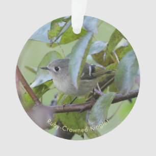 Ruby-kroon Goudhaantje Vogelornament met Plaats Ja Ornament